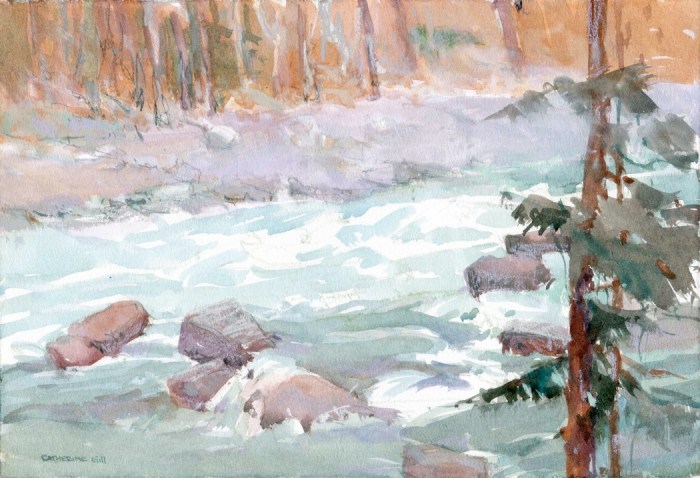 Skykomish River Catherine Gill 12.2014