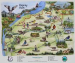 Osprey Sign